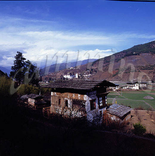 Bhutan100